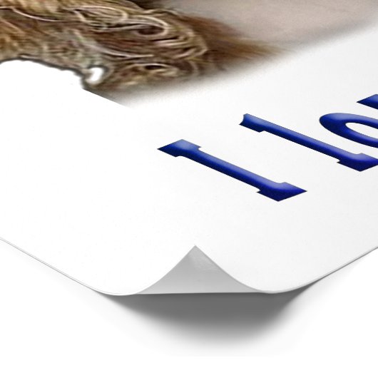 子犬 ポスター (角)