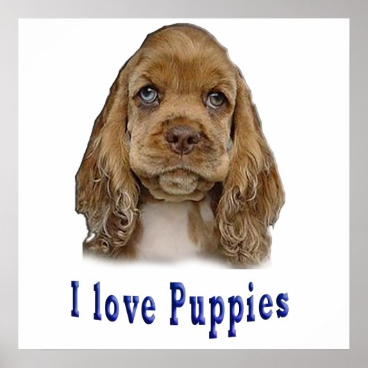 子犬 ポスター (正面)