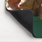 子犬 マウスパッド (コーナー)