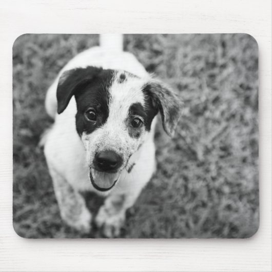 子犬 マウスパッド (正面)