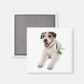 子犬 マグネット (正面/裏面)