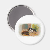 子犬 マグネット (正面/裏面)