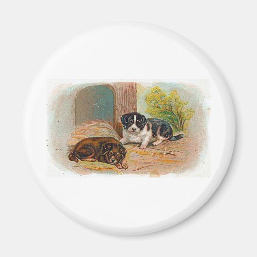 子犬 マグネット (正面)