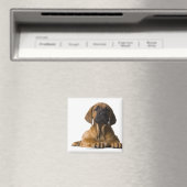 子犬 マグネット (インサイチュ (食洗機))