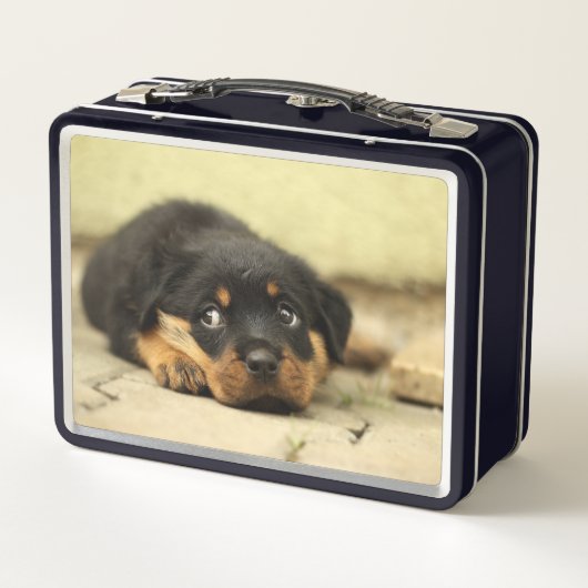 子犬 メタルランチボックス (裏面)