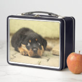 子犬 メタルランチボックス (インサイチュ)