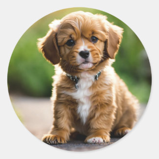 子犬 ラウンドシール