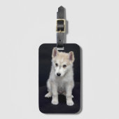 子犬 ラゲッジタグ (正面縦)