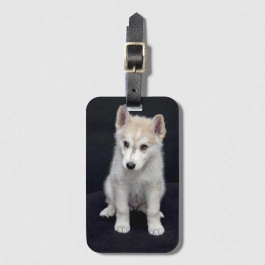 子犬 ラゲッジタグ (正面縦)