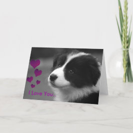 子犬、愛してる カード