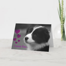 子犬、愛してる カード