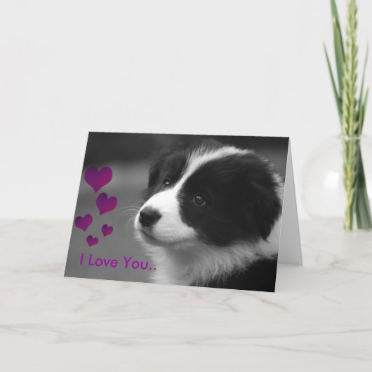 子犬、愛してる カード (正面)