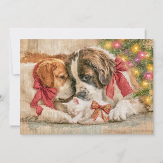 子犬 犬 子猫 愛 クリスマス  (正面)