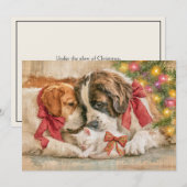 子犬 犬 子猫 愛 クリスマス  (正面/裏面)