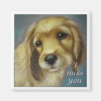 子犬 – 私はあなた恋しく思 – 磁石