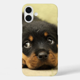 子犬 iPhone 16 PLUSケース