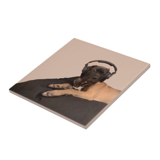 子犬Bullmastiff タイル (側面)