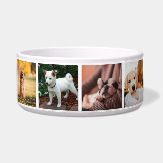 子犬Instagram写真 ボウル