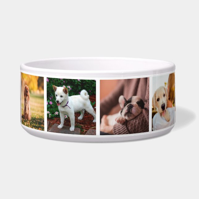 子犬Instagram写真 ボウル (正面)