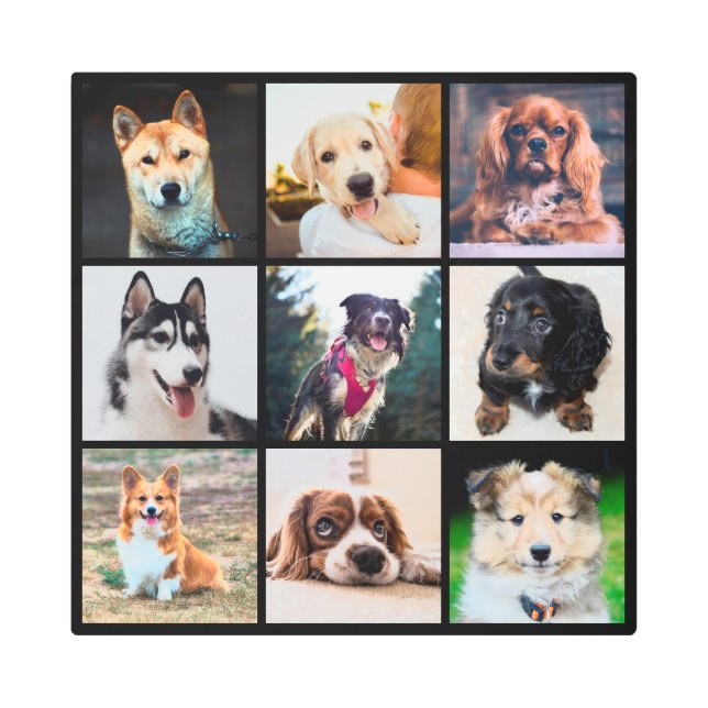 子犬Instagram写真 メタルプリント (正面)