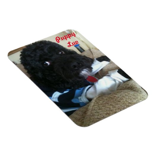 子犬Love マグネット (右側)