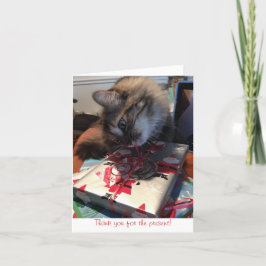 子猫ありがとう サンキューカード