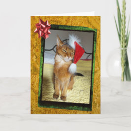 子猫いけなクリスマスカード シーズンカード