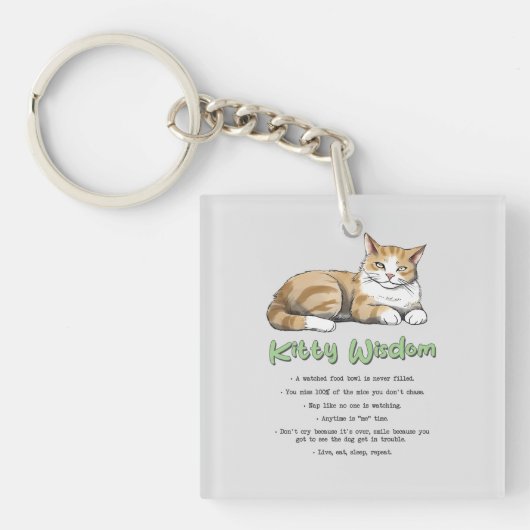 子猫おもしろいウィズダム – 茶色い猫のルール キーホルダー (正面)