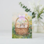 子猫かご – はがき (スタンド正面)