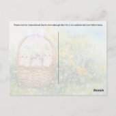 子猫かご – はがき (裏面)