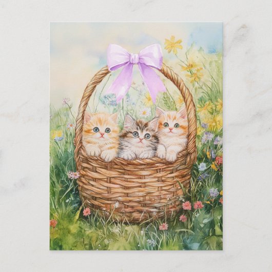 子猫かご – はがき (正面)