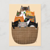 子猫かご ポストカード (正面)