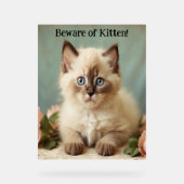 子猫かわいいラグドール子猫ガーディアンピック アクリルサイン (正面)