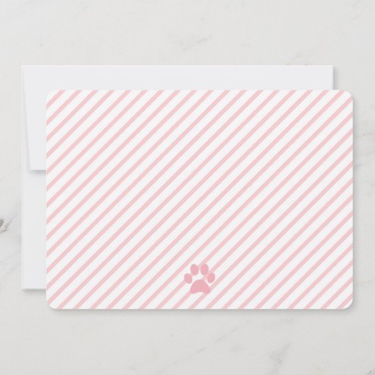 子猫かわいらしガールキャットフォト誕生日 招待状 (裏面)