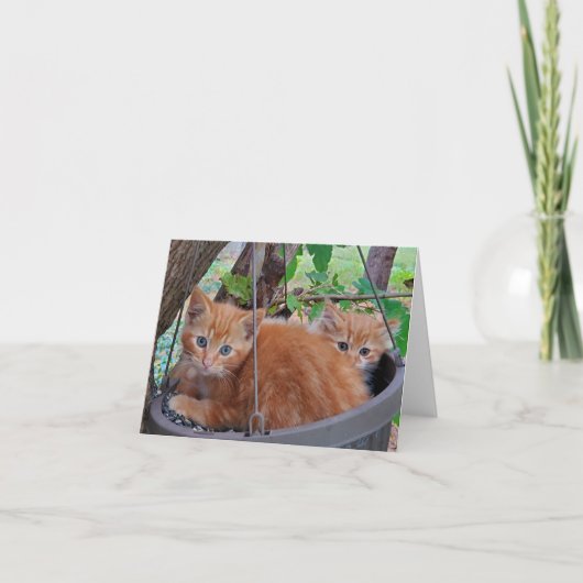 子猫がいっぱい入ったバスケット サンキューカード (正面)