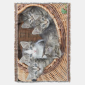 子猫がいっぱい入ったバスケット スローブランケット (正面縦)