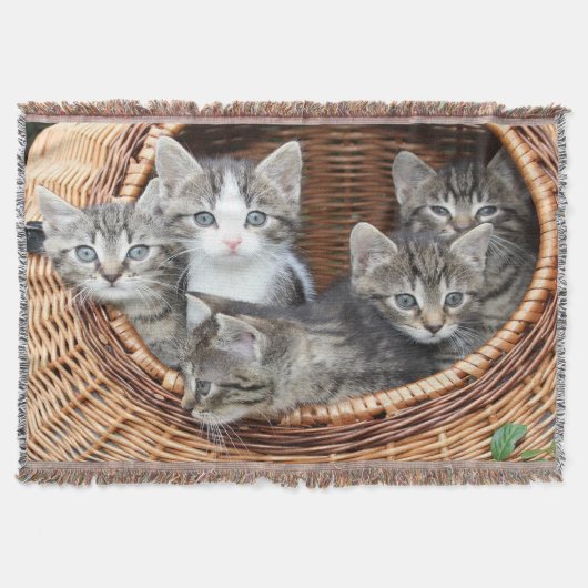 子猫がいっぱい入ったバスケット スローブランケット (正面)