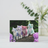 子猫がクルールと出会う ポストカード (スタンド正面)