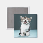 子猫がニャーニャー マグネット (正面/裏面)