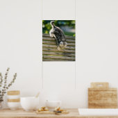 子猫がベンチで動いている ポスター (キッチン)