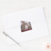 子猫がボウルに寝る2 スクエアシール (封筒)