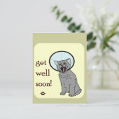 子猫が元気になる ポストカード (スタンド正面)