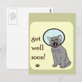 子猫が元気になる ポストカード (正面/裏面)