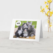 子猫が友達の最高のハッピーバースデーを望む カード (黄色い花)