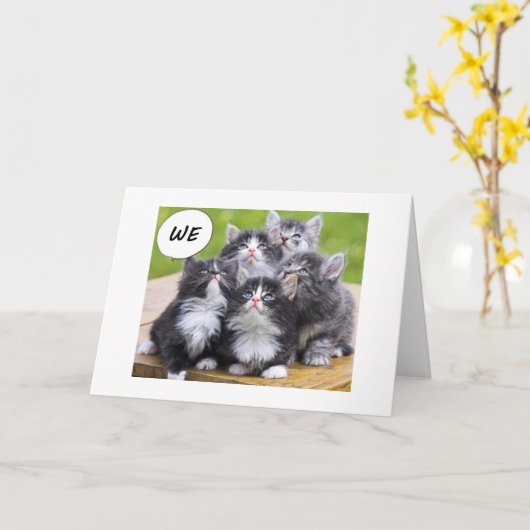 子猫が友達の最高のハッピーバースデーを望む カード (黄色い花)