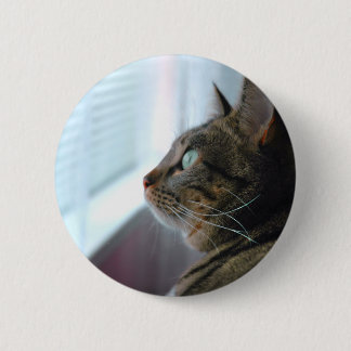 子猫が外で熟視するEvey 缶バッジ