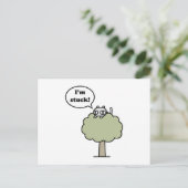 子猫が木に詰まっている ポストカード (スタンド正面)