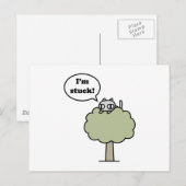 子猫が木に詰まっている ポストカード (正面/裏面)