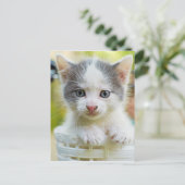 子猫が自転車に乗る ポストカード (スタンド正面)