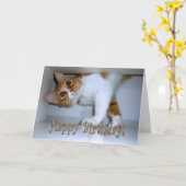 子猫が落ちてきた - お誕生日おめでとう！ カード (黄色い花)